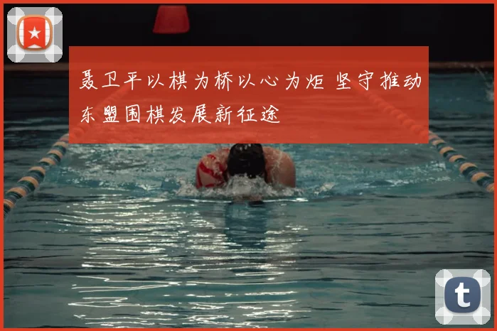 聂卫平以棋为桥以心为炬 坚守推动东盟围棋发展新征途