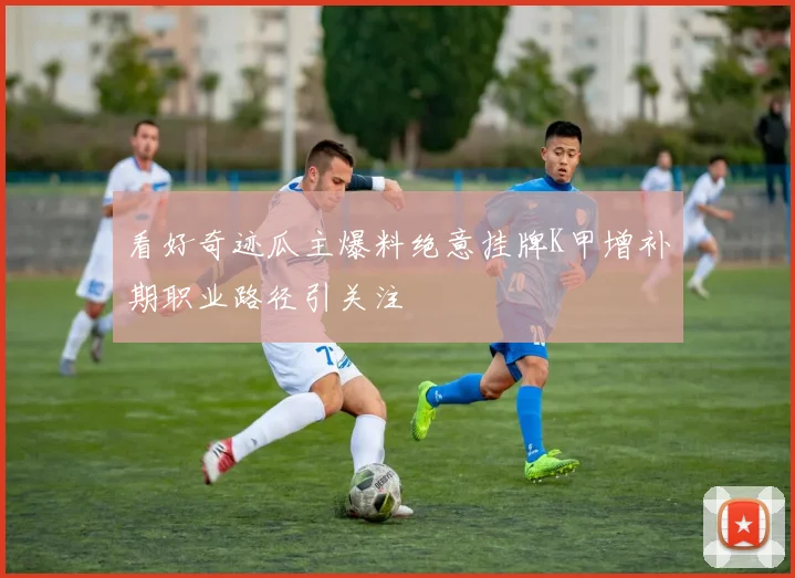 看好奇迹瓜主爆料绝意挂牌K甲增补期职业路径引关注