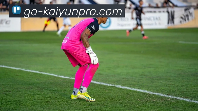 开云官网直连平台生态图