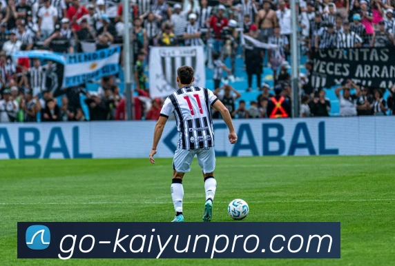 多媒体互动体验