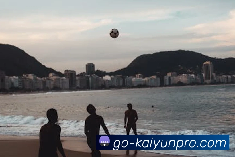 开云官网直连APP 封面图